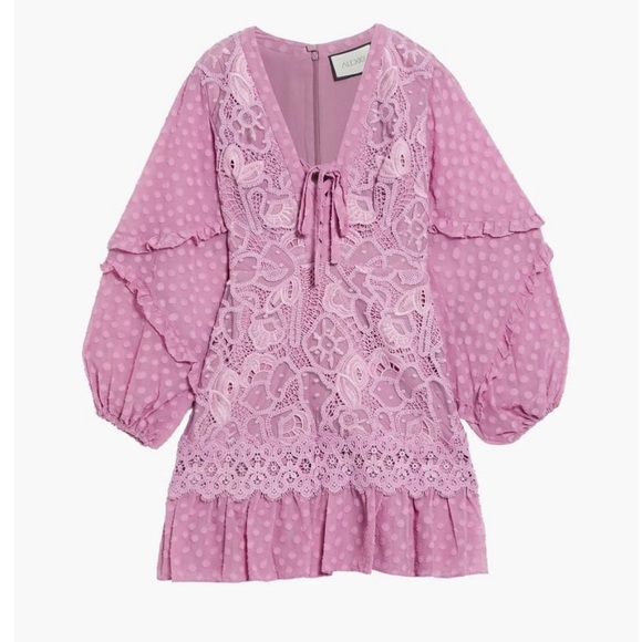 ALEXIS - MALICHA Crocheted Lace and Fil Coupe Georgette mini dress - Picture 2 of 7